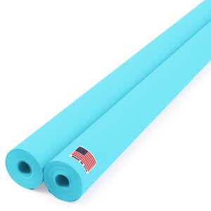 Paclord Light Blue Kraft Paper Roll 48" x 1200" (100 ft), 45 Lbs, Value Pack of 2 (KP-4810-LB-2, B0DNV3GB4S)