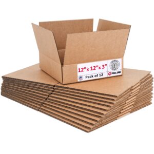 Flat Cardboard Boxes 12"L x 12"W x 3"H (Pack of 12) (CB-12123-12, B0GMTGRLWH)